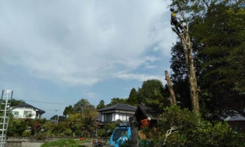 LINE_ALBUM_笛印　冨永邸　山鹿市藤井_230314_2